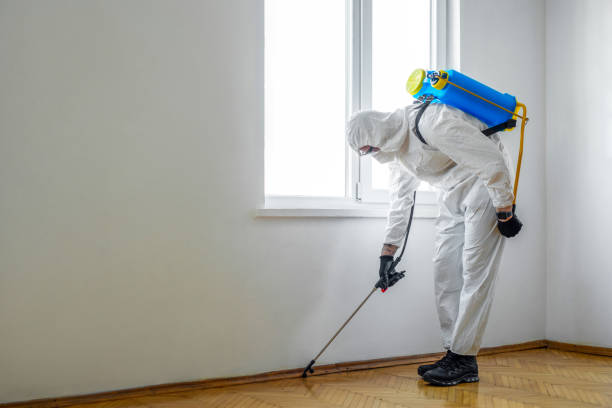 Best Termite Control Services  in Cleveland, OK