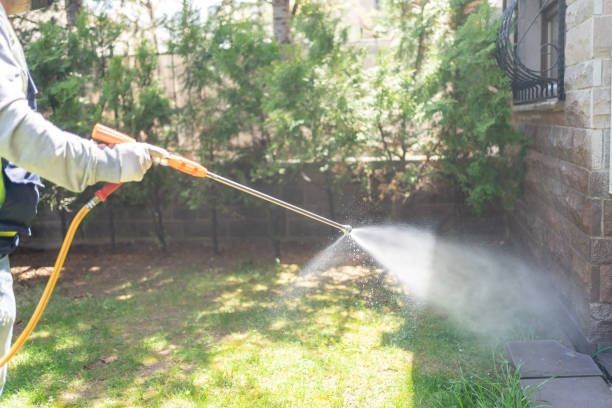 Best Ant Control Services  in Cleveland, OK