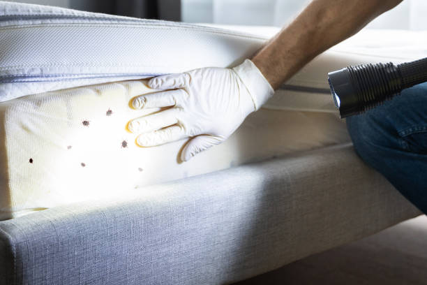 Best Affordable Pest Control Services  in Cleveland, OK