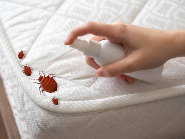 Wasp Removal Services in Cleveland, OK
