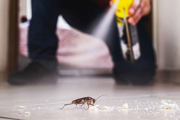 Best Pest Control Near Me  in Cleveland, OK
