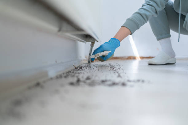 Best Exterminator Services  in Cleveland, OK