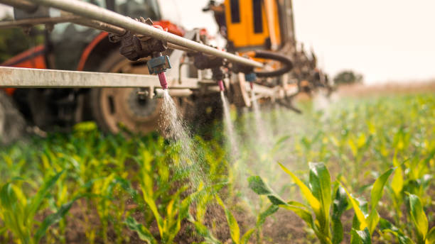 Professional Pest Control in Cleveland, OK